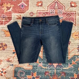 AE The Dream Jean Size 10 Long